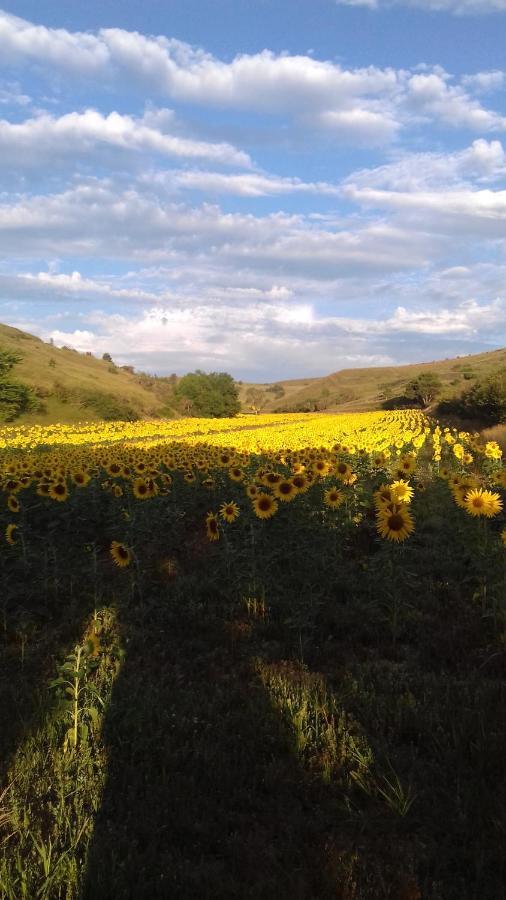 Ma Caravane Dans Les Collines Villeneuve-la-Comptal Экстерьер фото